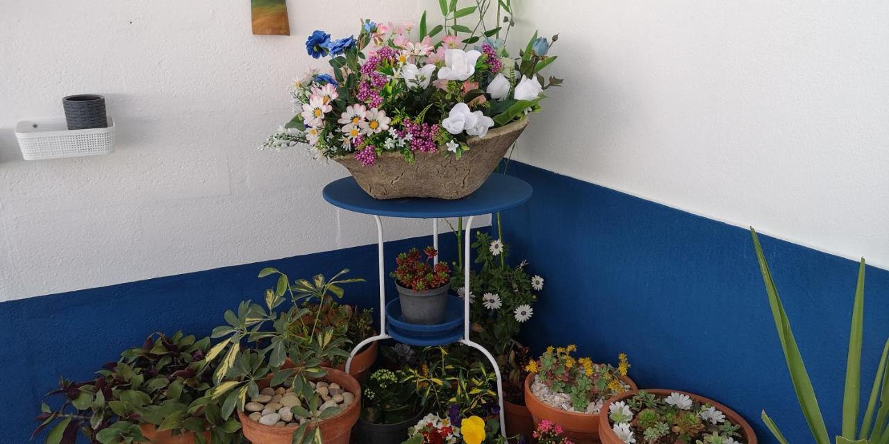 הוילה אסטראמוז Casa Na Aldeia מראה חיצוני תמונה